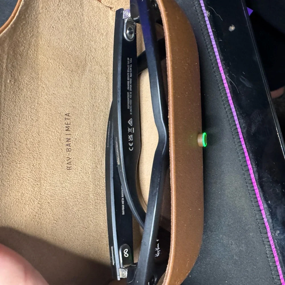 Ray-Ban Matte Black Sunglasses with Brown Case